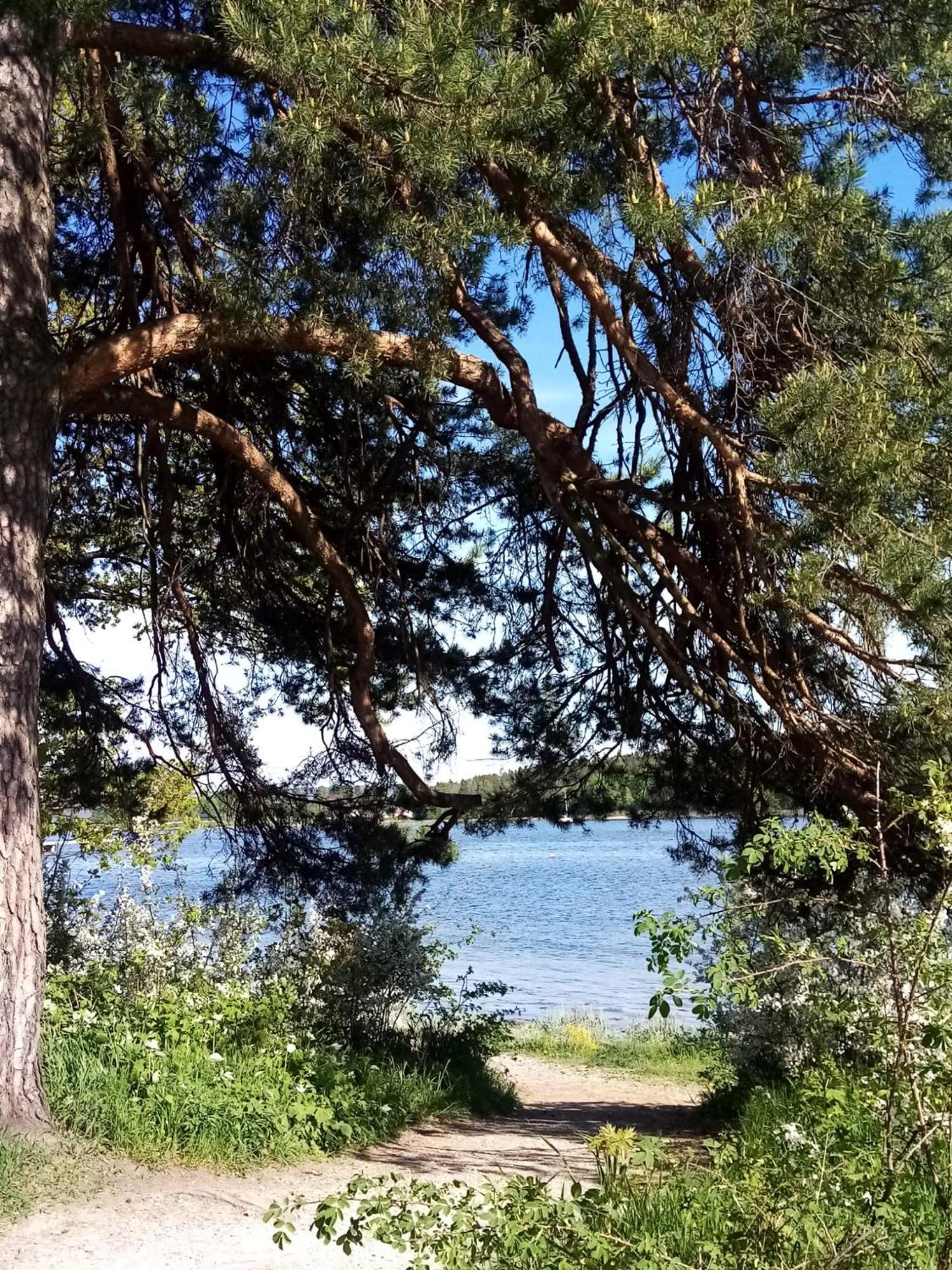 Apartmán La Casa Marrone Norway Asker Exteriér fotografie